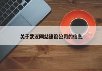 关于武汉网站建设公司的信息