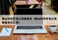 佛山软件开发公司哪里有（佛山软件开发公司哪里有分公司）