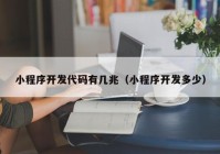 小程序开发代码有几兆（小程序开发多少）