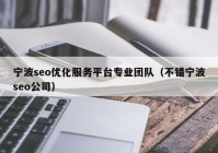 宁波seo优化服务平台专业团队（不错宁波seo公司）