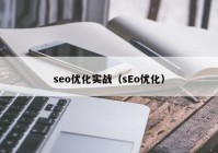 seo优化实战（sEo优化）